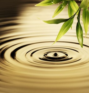 ACT, BE, DO: What Skills are Needed for Leadership Nirvana?
