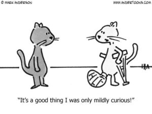 Read more about the article Curiosity Killed The Cat, But It May Help You Survive As A Leader